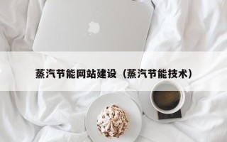 沙洋蒸汽节能网站建设（蒸汽节能技术）